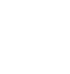 Egged Group